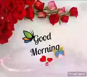 Good Morning Animated Whatsapp Greeting Status GIF