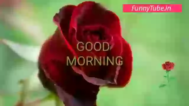 Good Morning Beautiful Song Whatsapp Status