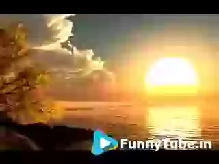 Good Morning Everyone