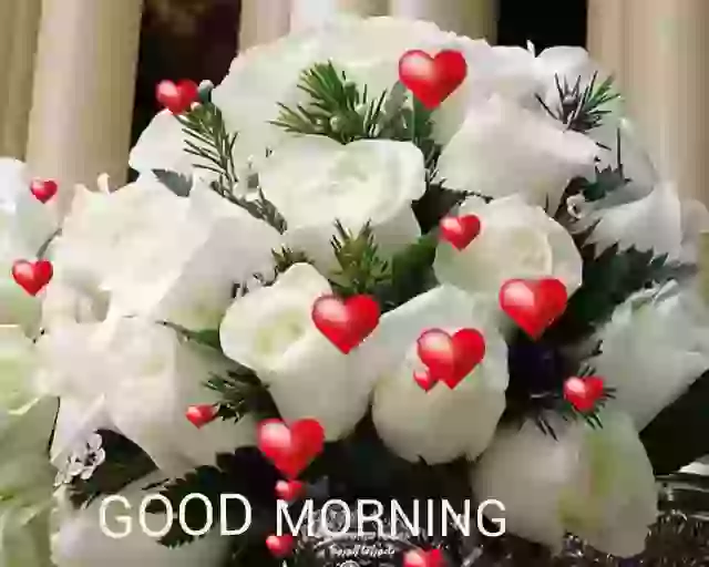 Good Morning Flowers GIF animation