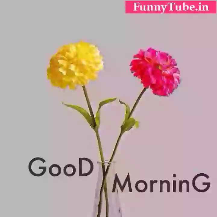 Good Morning For Special One