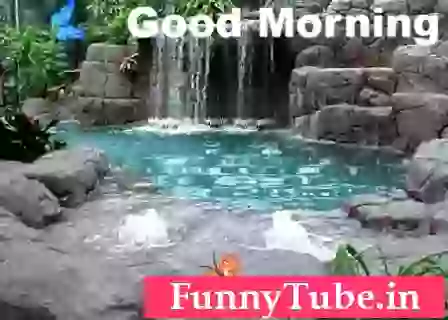 Good Morning Friends GIF