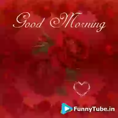 Good Morning GIF For Love