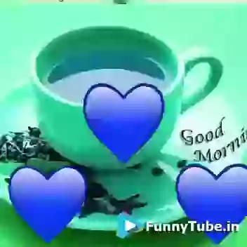 Good Morning GIF For Whasapp Status