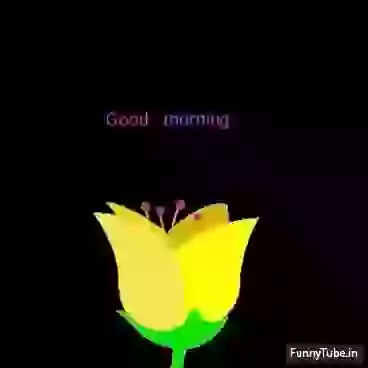 Good Morning GIF For Whatsapp