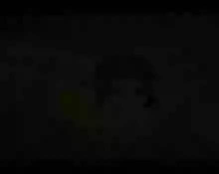 Good Morning Ganesh Aarti To Start The Day