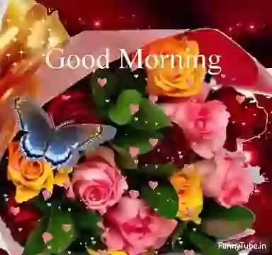 Good Morning Greeting Beautiful Animated GIF Status