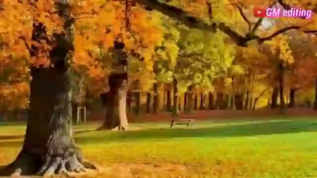 Good Morning Gujarati Status Video