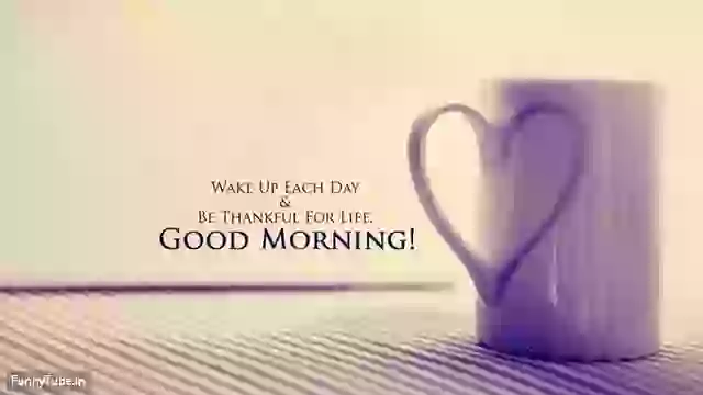 Good Morning HD Images Video For Whatsapp Status