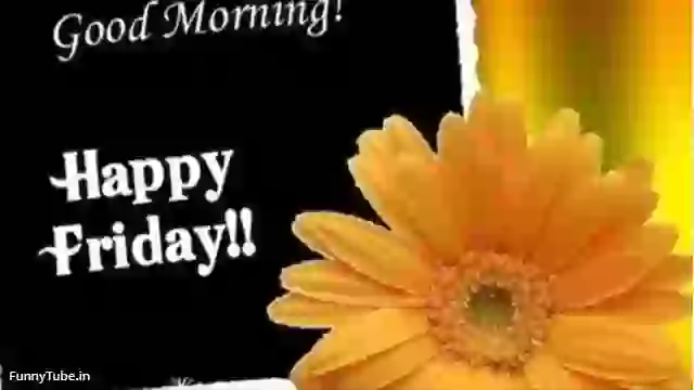 Good Morning Happy Friday Quotes in English