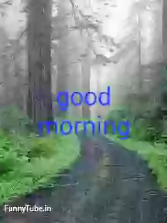 Good Morning Happy Monsoon GIF Status Video