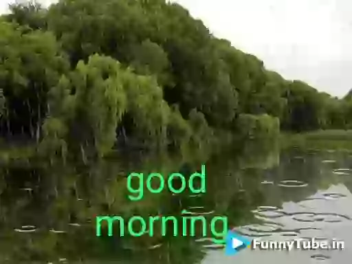 Good Morning Happy Monsoon GIF