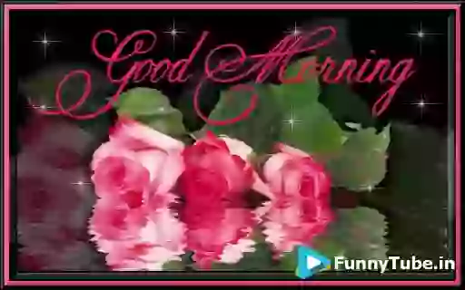 Good Morning Happy Morning GIF