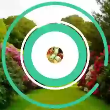 Good Morning Happy Saturday Devotional Status Video