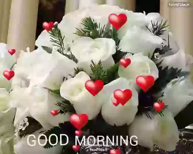 Good Morning Happy Sunday GIF