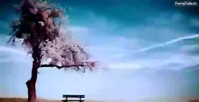 Good Morning Happy Sunday Quotes For Whatsapp Status