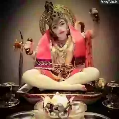 Good Morning Happy Tuesday Whatsapp Video