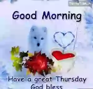 Good Morning Have A Great Thursday GIF Status