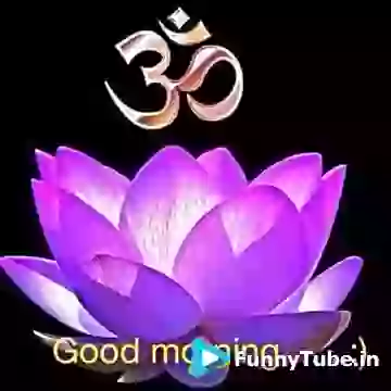 Good Morning Have A Nice Day Ahead