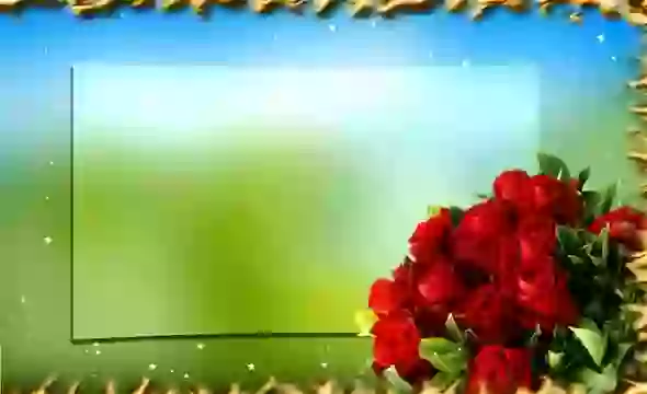 Good Morning Have A Nice Day Quote English Status