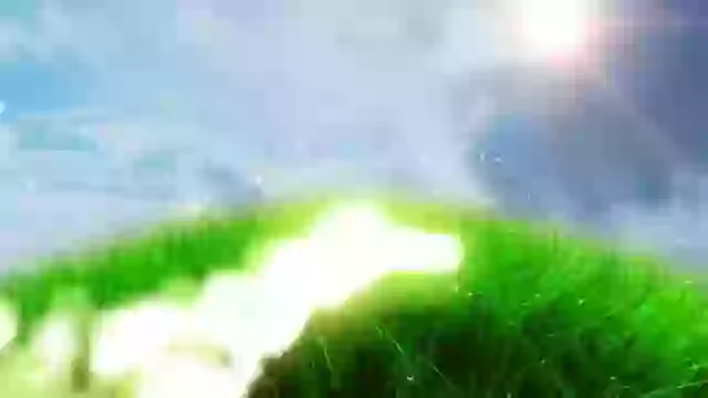 Good Morning Have A Nice Day Status Whatsapp Video