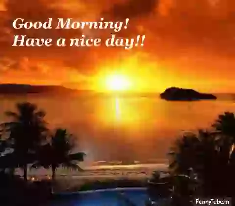 Good Morning Have A Nice Day Whatsapp GIF