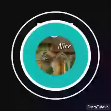 Good Morning Have A Nice Day Whatsapp Video Download