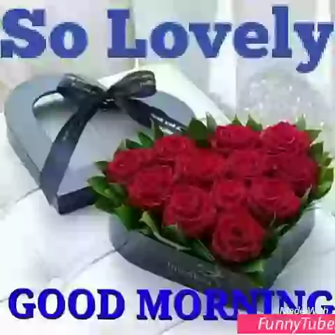 Good Morning Have Great Day Whatsapp Video