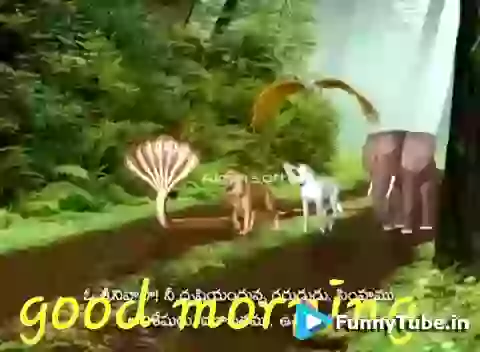 Good Morning Have Happy Monday