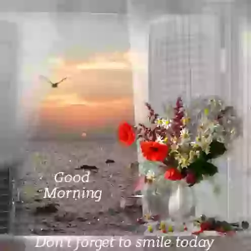 Good Morning Keep Smiling Whatsapp Status GIF