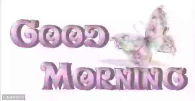 Good Morning Message For Whatsapp Status