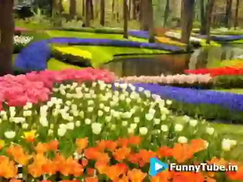 Good Morning O Kanha Ab To Murli Song