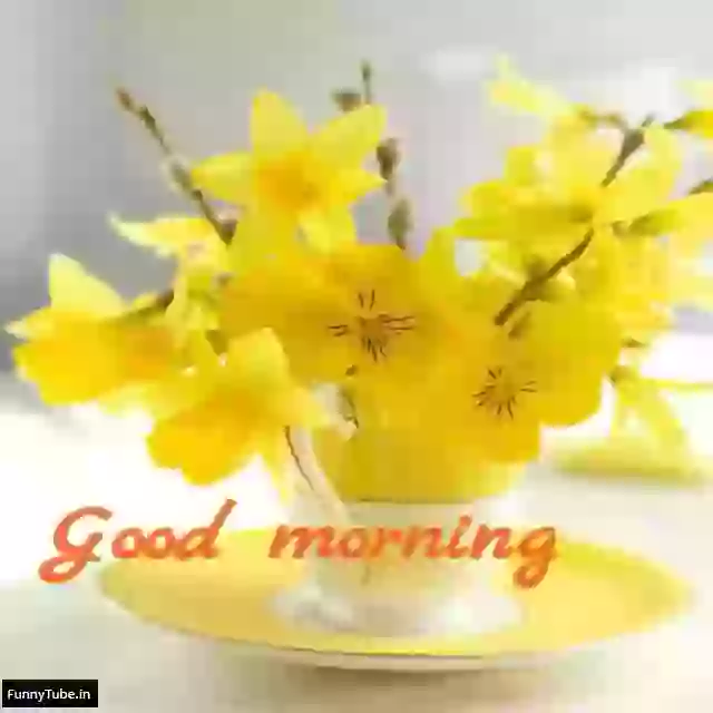 Good Morning Quotes Images GIF Status