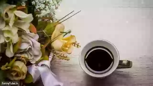 Good Morning Quotes In English Whatsapp Status