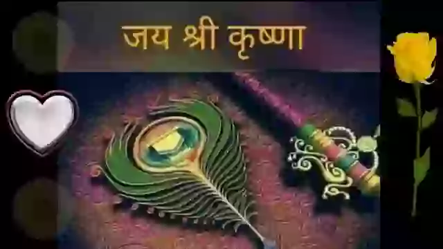 Good Morning Quotes Video Status For Whatsapp