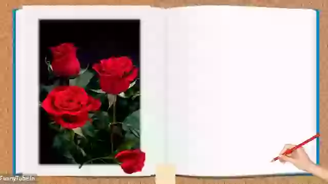 Good Morning Quotes Whatsapp Greeting Status Video