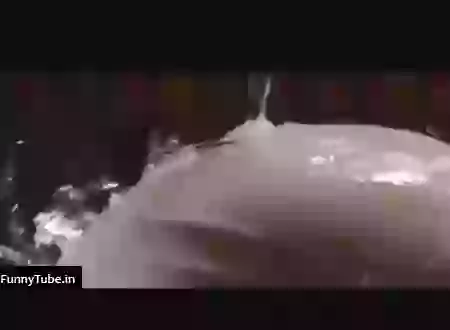 Good Morning Sai Baba Whatsapp Status Download