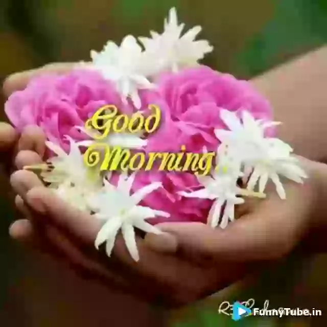 Good Morning Sweet Morning