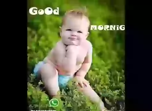 Good Morning Tamil Whatsapp Video Download
