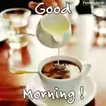 Good Morning Tea Time Whatsapp GIF