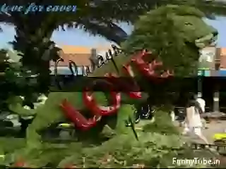 Good Morning Video For Love Status