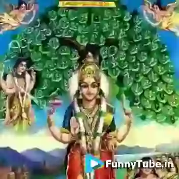 Good Morning Video Happy Monday