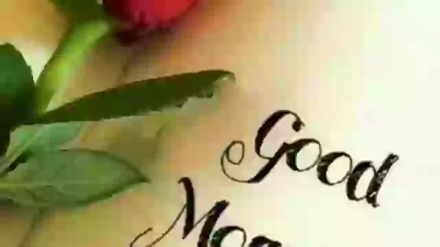 Good Morning Video Message Wishes Romantic Beautiful Status