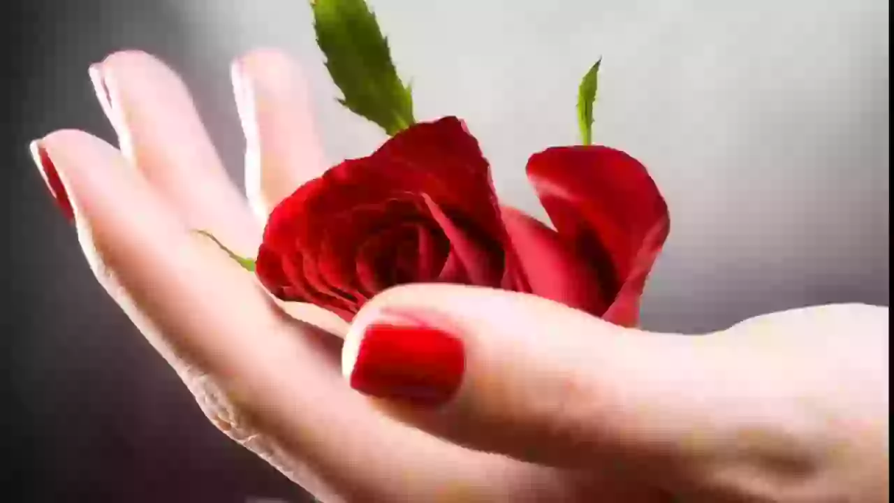 Good Morning Video Song Status Hindi Quotes