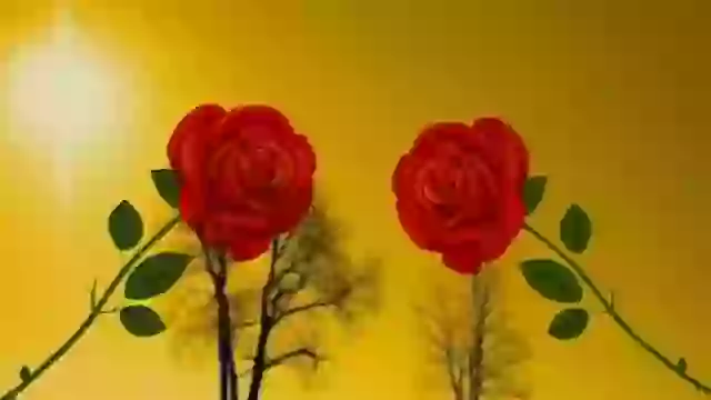 Good Morning Video Suprabhat Video Download