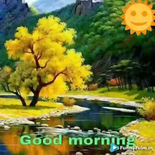 Good Morning Wallpaper Video For Whatsapp