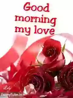 Good Morning Whatsapp GIF Download For Love