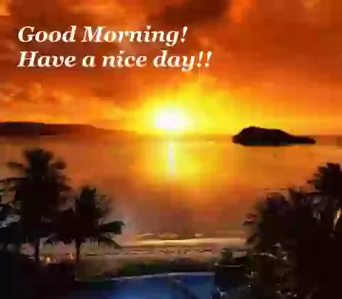 Good Morning Whatsapp GIF Greeting