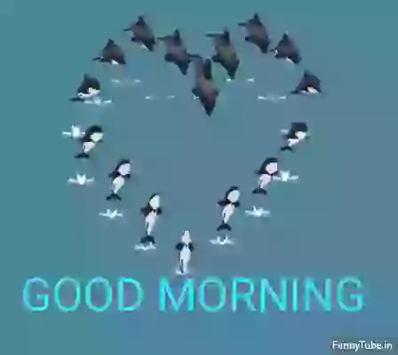 Good Morning Whatsapp GIF Status