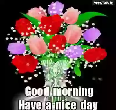 Good Morning Whatsapp Greeting  GIF